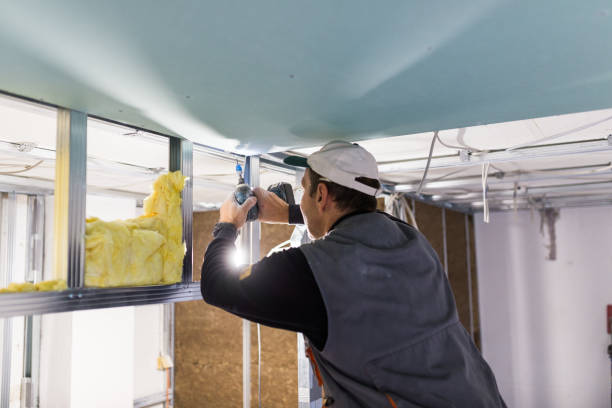 Best Insulation Repair Services  in Silver Creek, NY