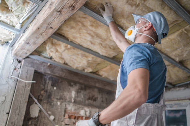 Best Wall Insulation Contractor  in Silver Creek, NY