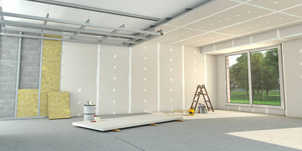 Best Insulation Removal  in Silver Creek, NY