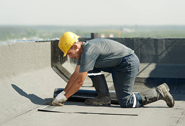 Trusted Silver Creek, NY Insulation Contractor Experts