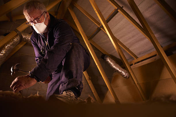 Best Garage Insulation Installation  in Silver Creek, NY